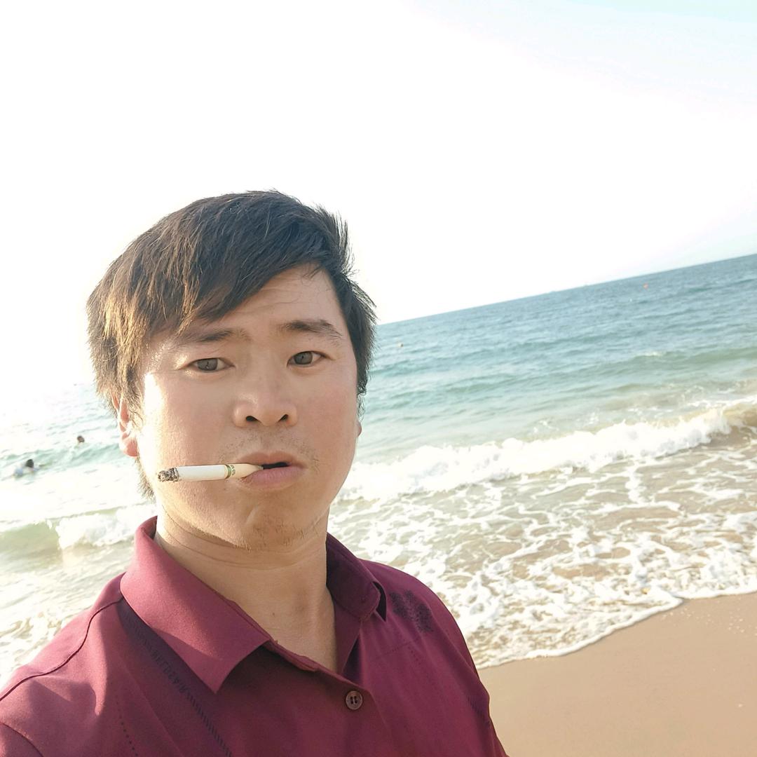 喷浆挂网的流浪的猫