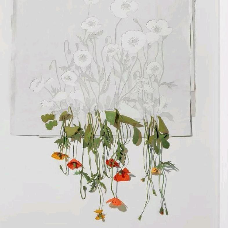 狗子代码运行分析师