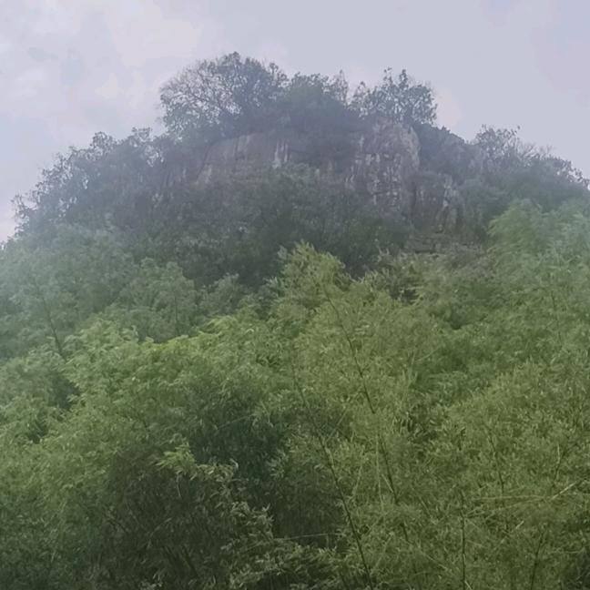 平果🍎铝🍒由你爱