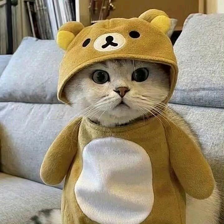 W-Lin