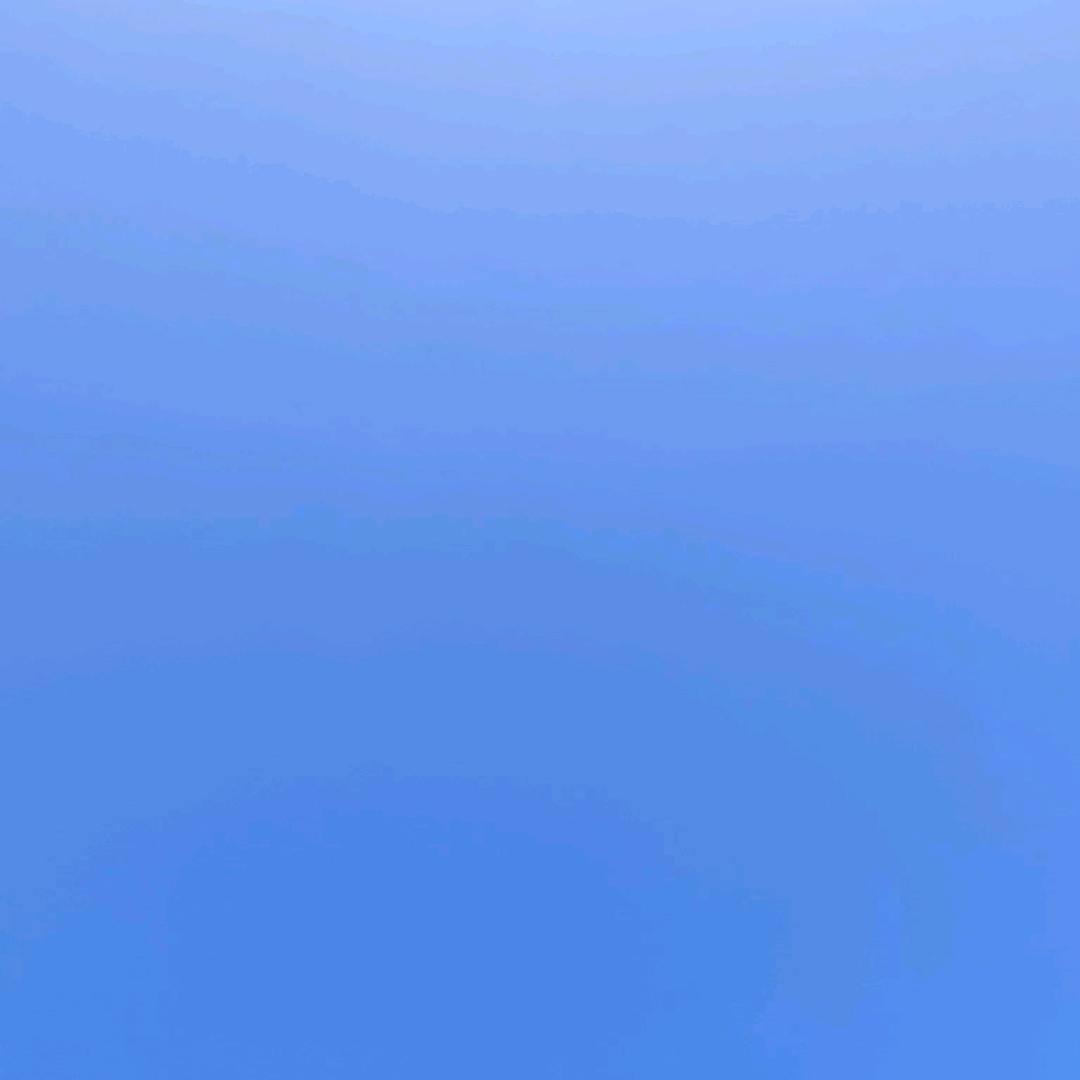 随风自由