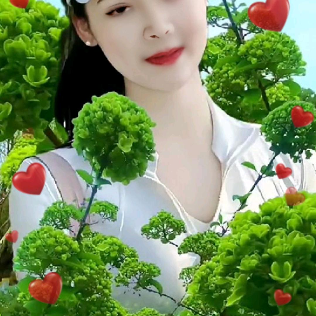 三姐