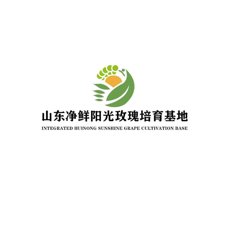 青尚阳光葡萄培育基地