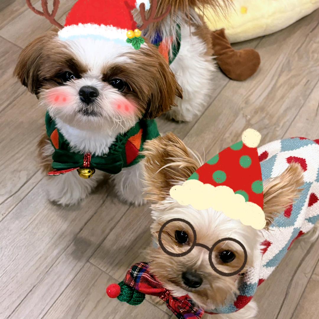 开着1c㎡的飞机去接檀健次（檀記）