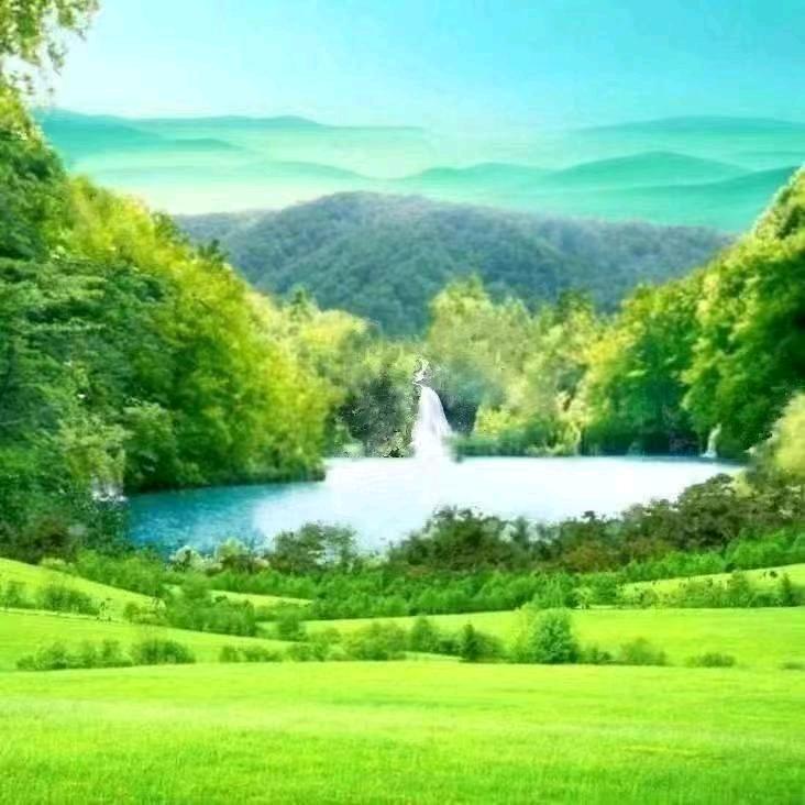 🎉化茧成蝶🦋