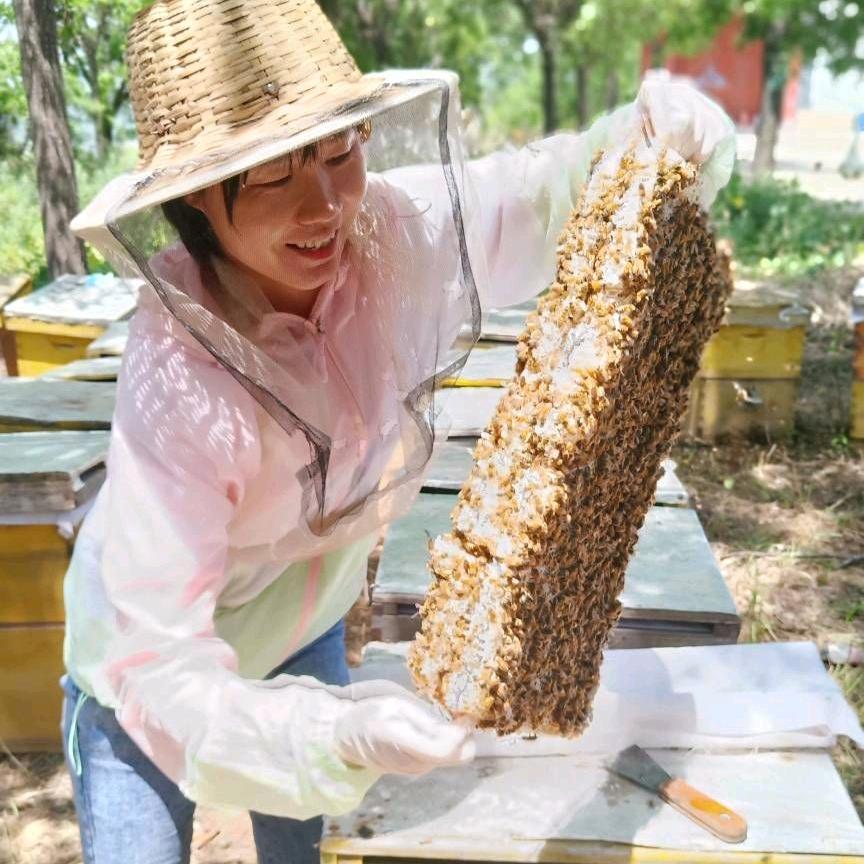 蜂菇娘