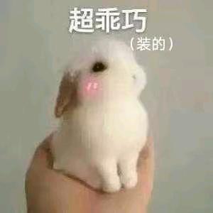 兔子🐰头像