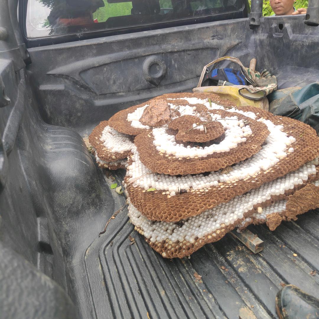 低调做人高调做事