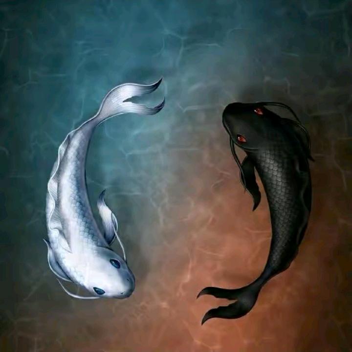 滨海刚哥