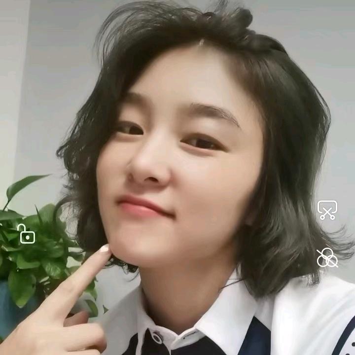 丹美姿