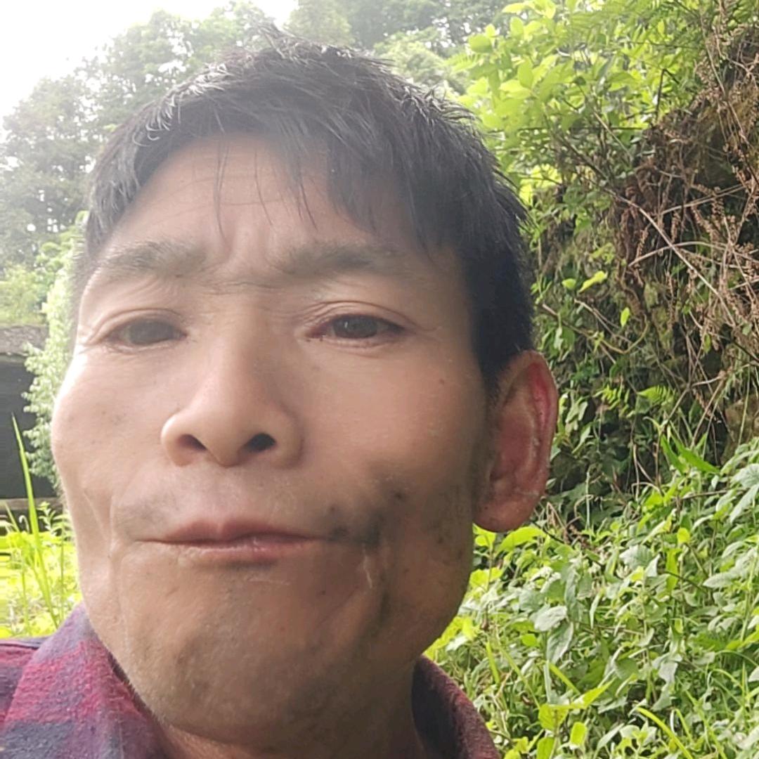 梁成树