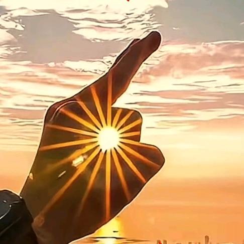 ✨启航🦜🕊️