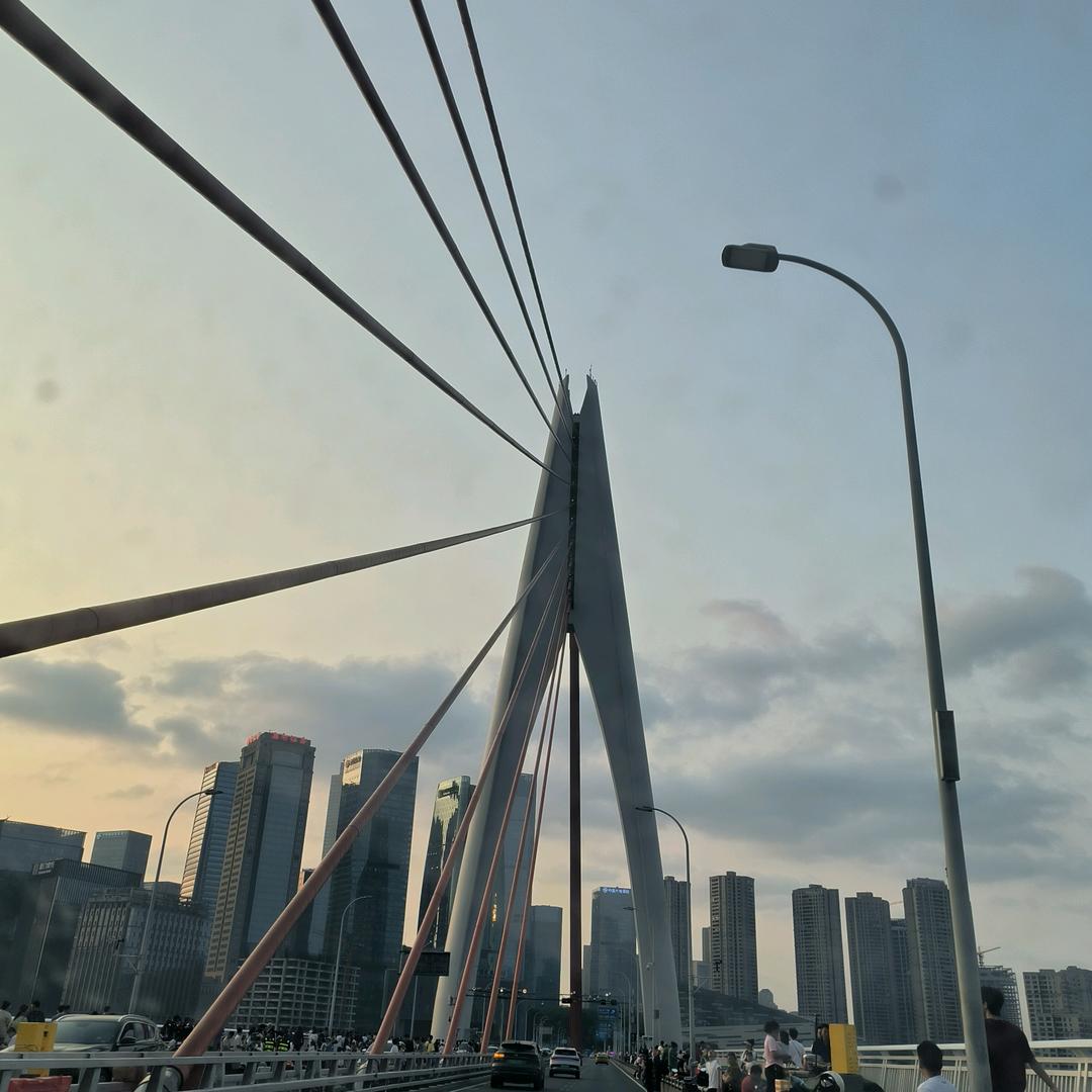 老板丶(三角洲行动)