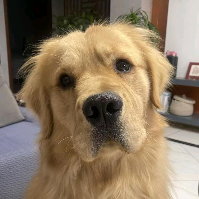 满目星辰皆是你