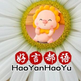 好言郝语