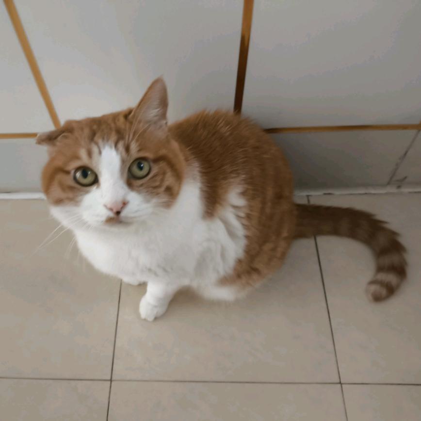 我的最爱是咖啡