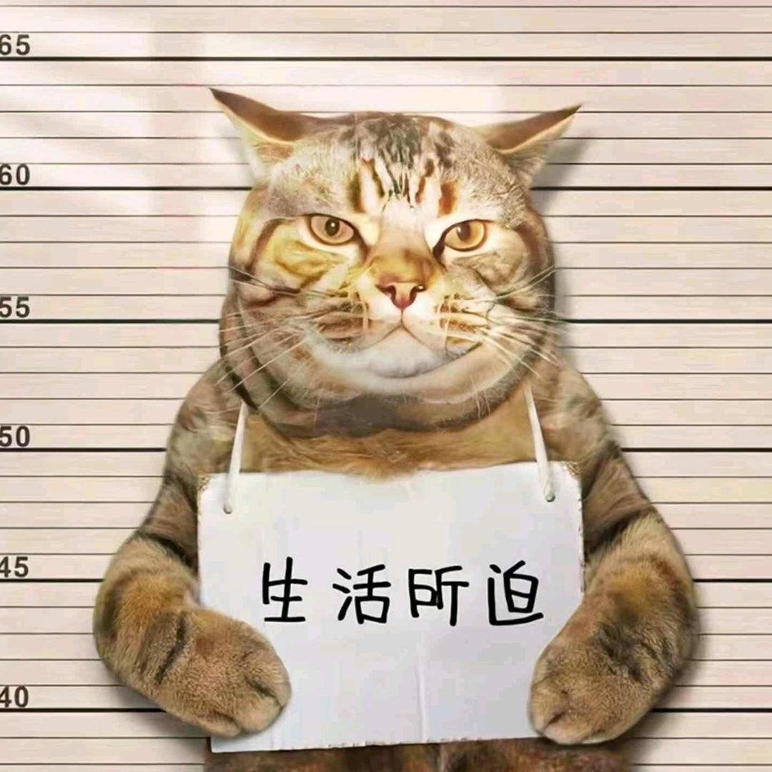 赵德兴搞笑