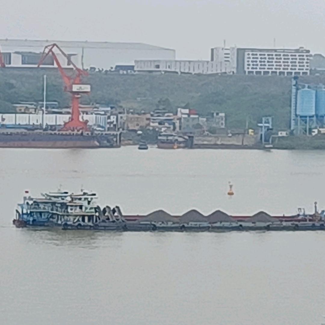 中红