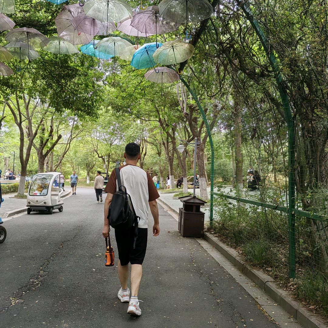 @不抛弃，不放弃#