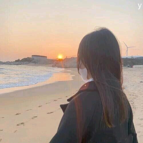 竹笋发芽
