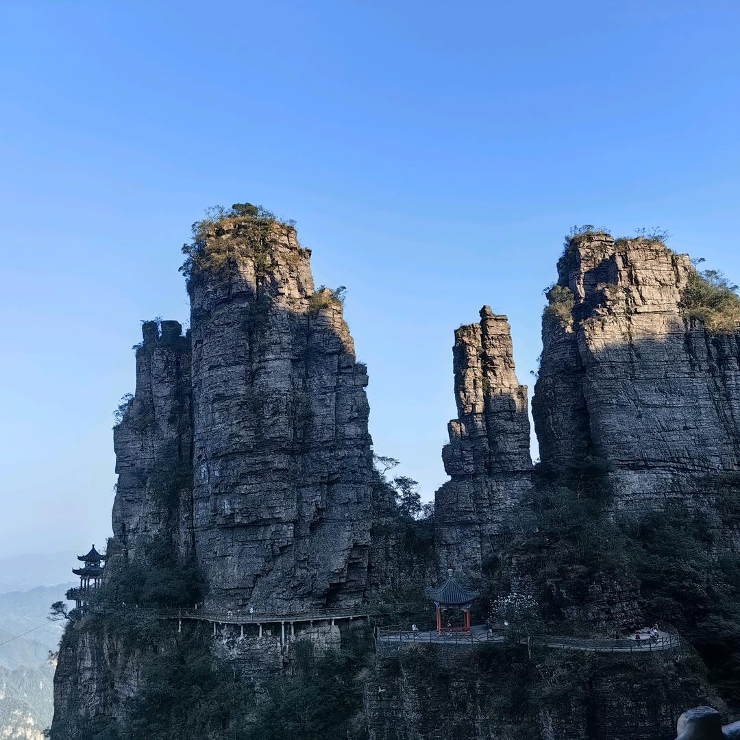年度之歌