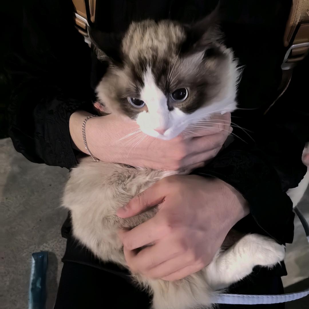 普朗克密度_