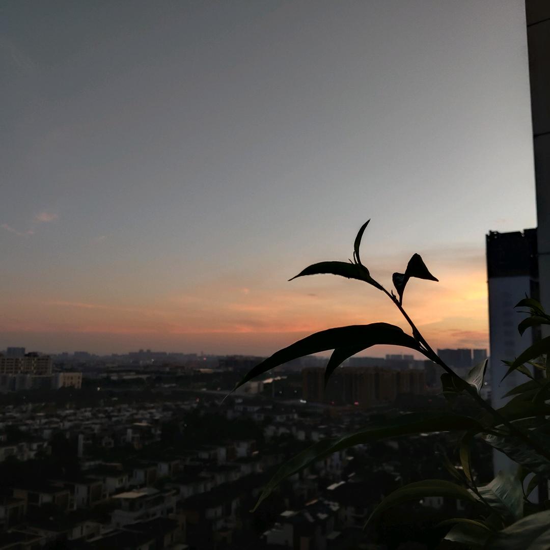 漂洋过海我想看到你