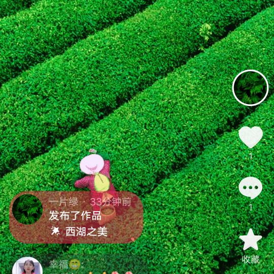 顺风推舟