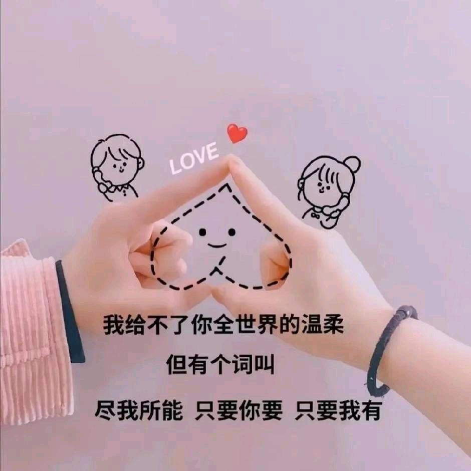 风雨无情