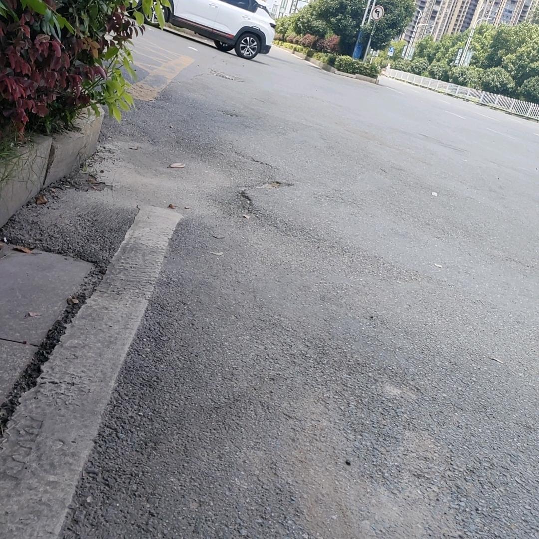 谢子鑫