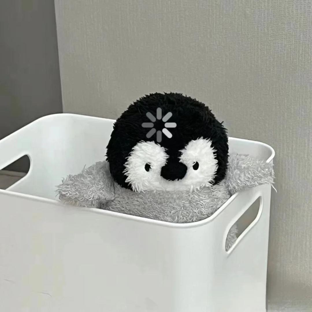 白浩宇