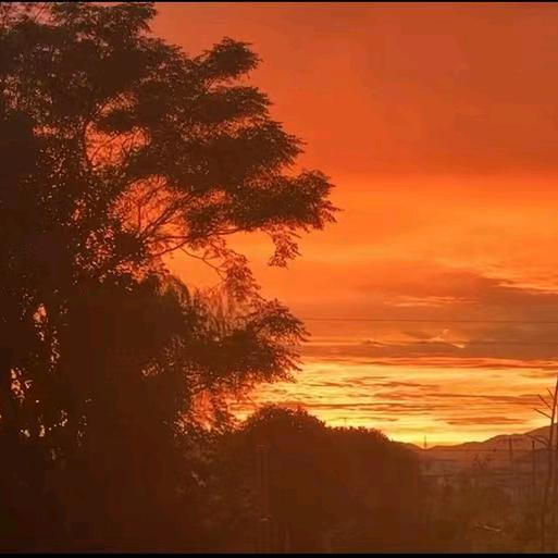 陪我一起去看海吧