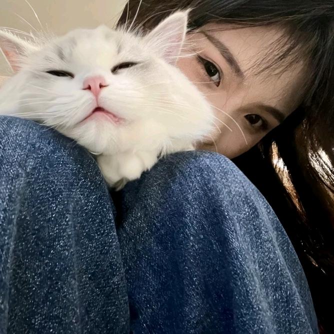 小羊困了💤