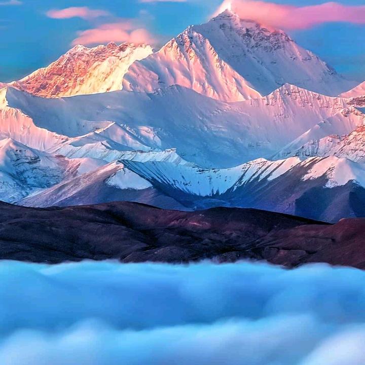 搏爱