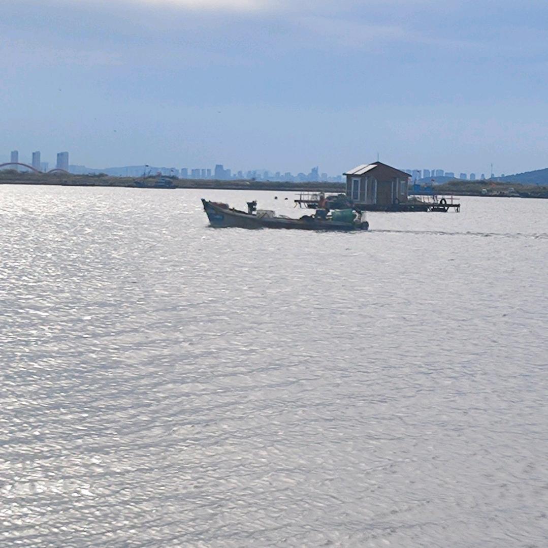 向往大海渡船人