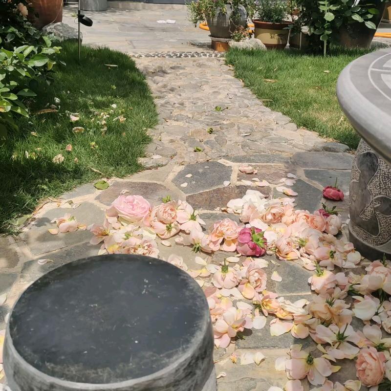 在济南开民宿的春花