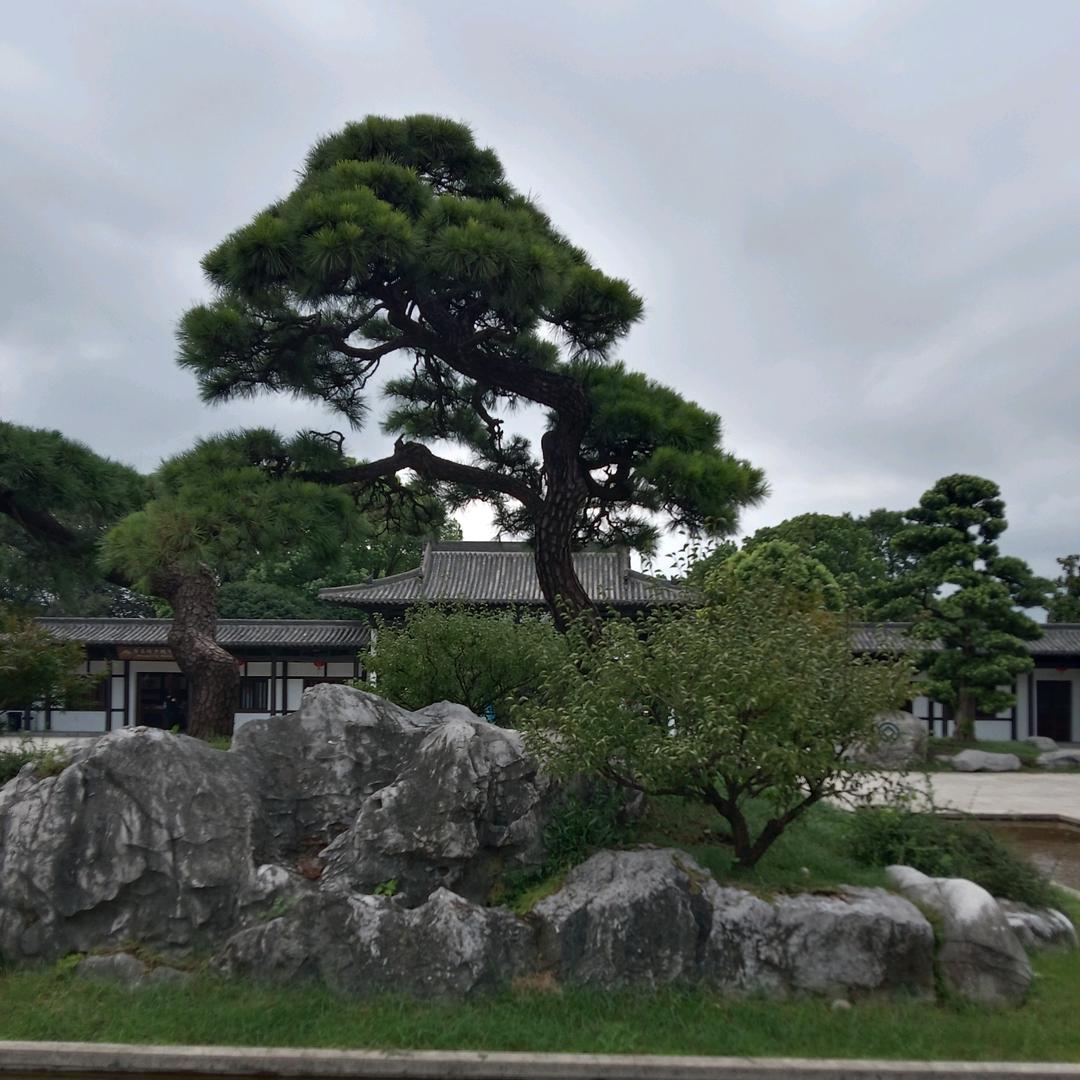 诗词·糊涂
