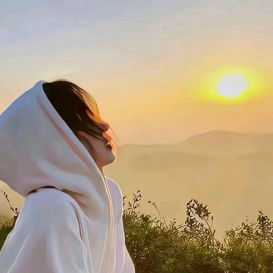 翻斗花园胡图图🍃