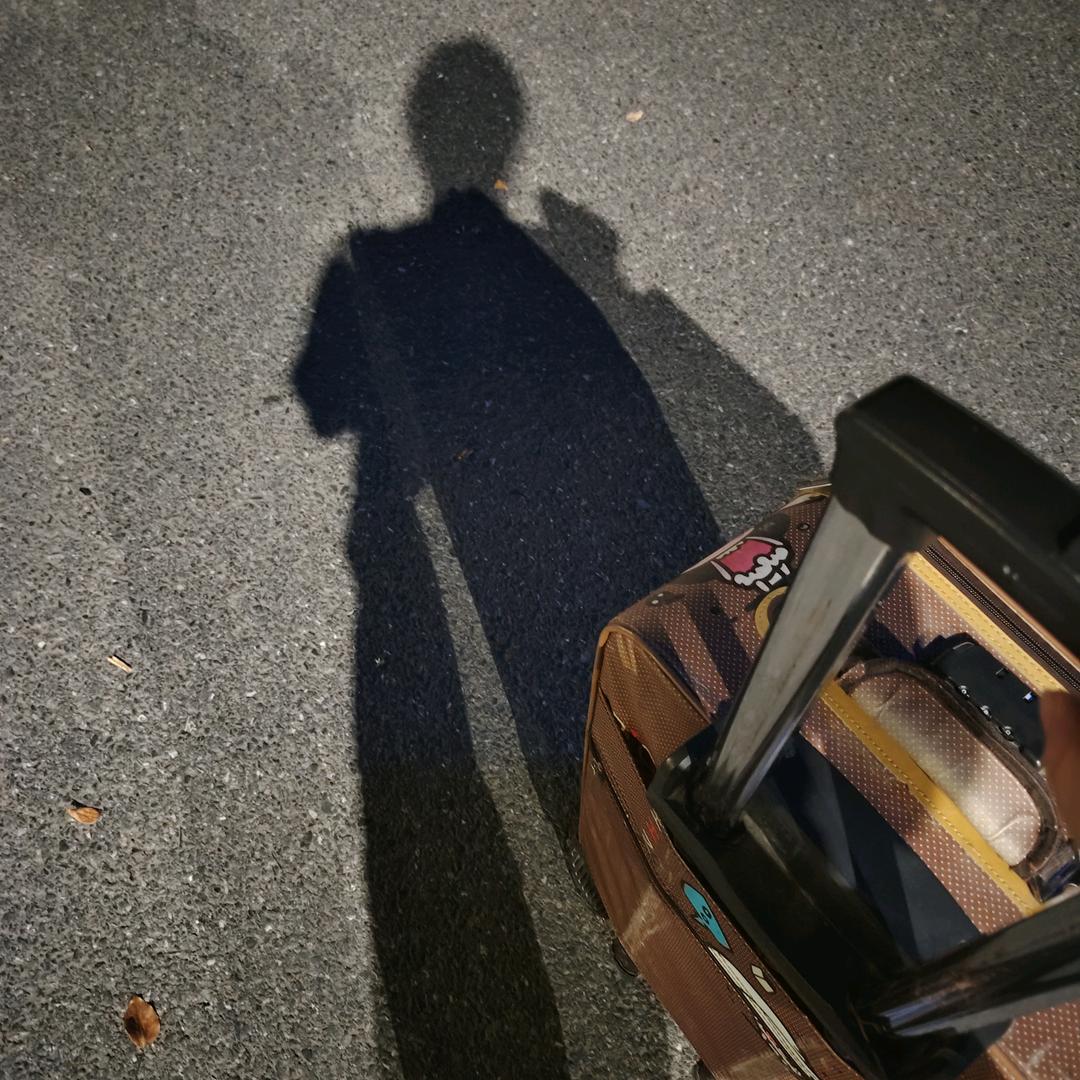冻干的小鱼干儿