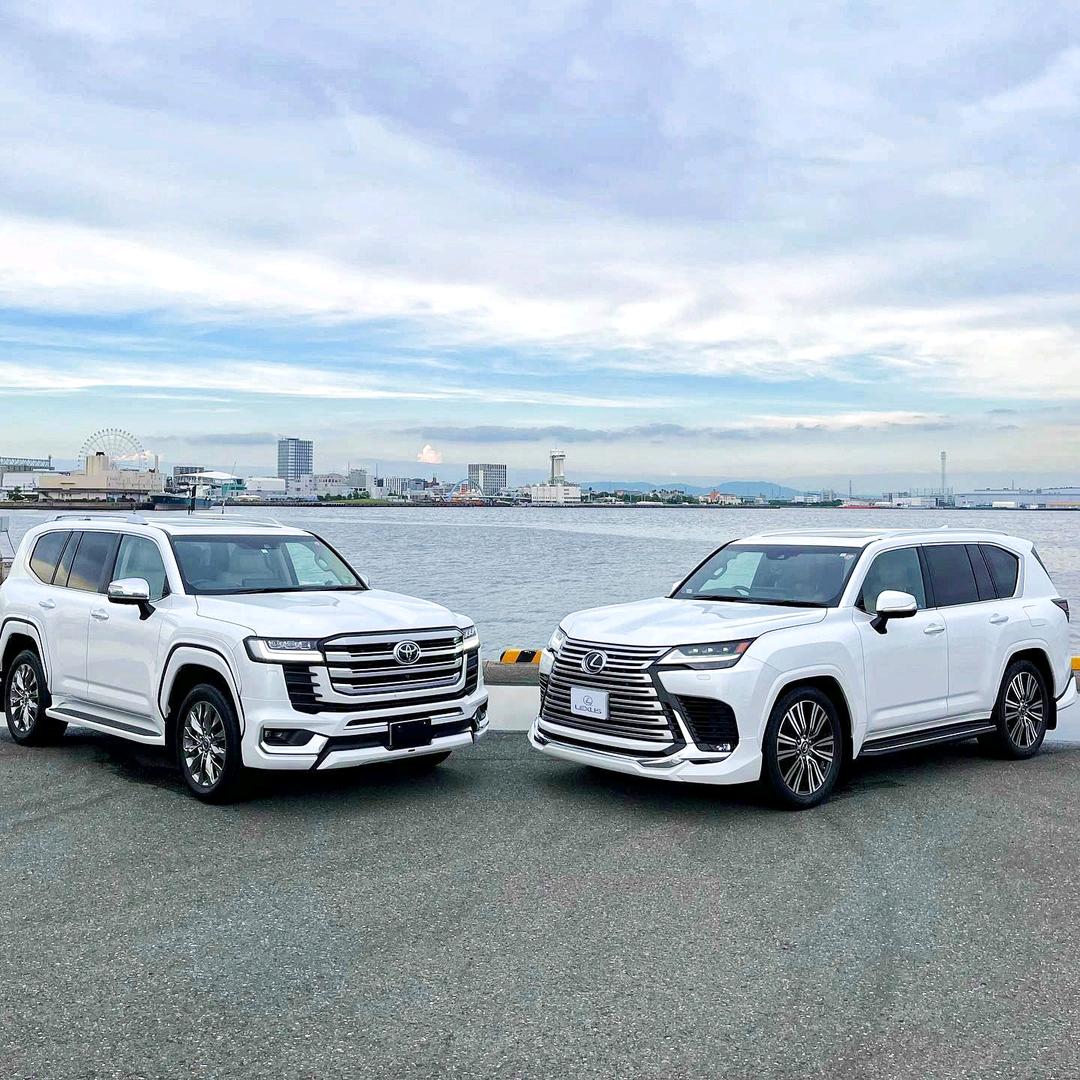 金一路国际名车昌育