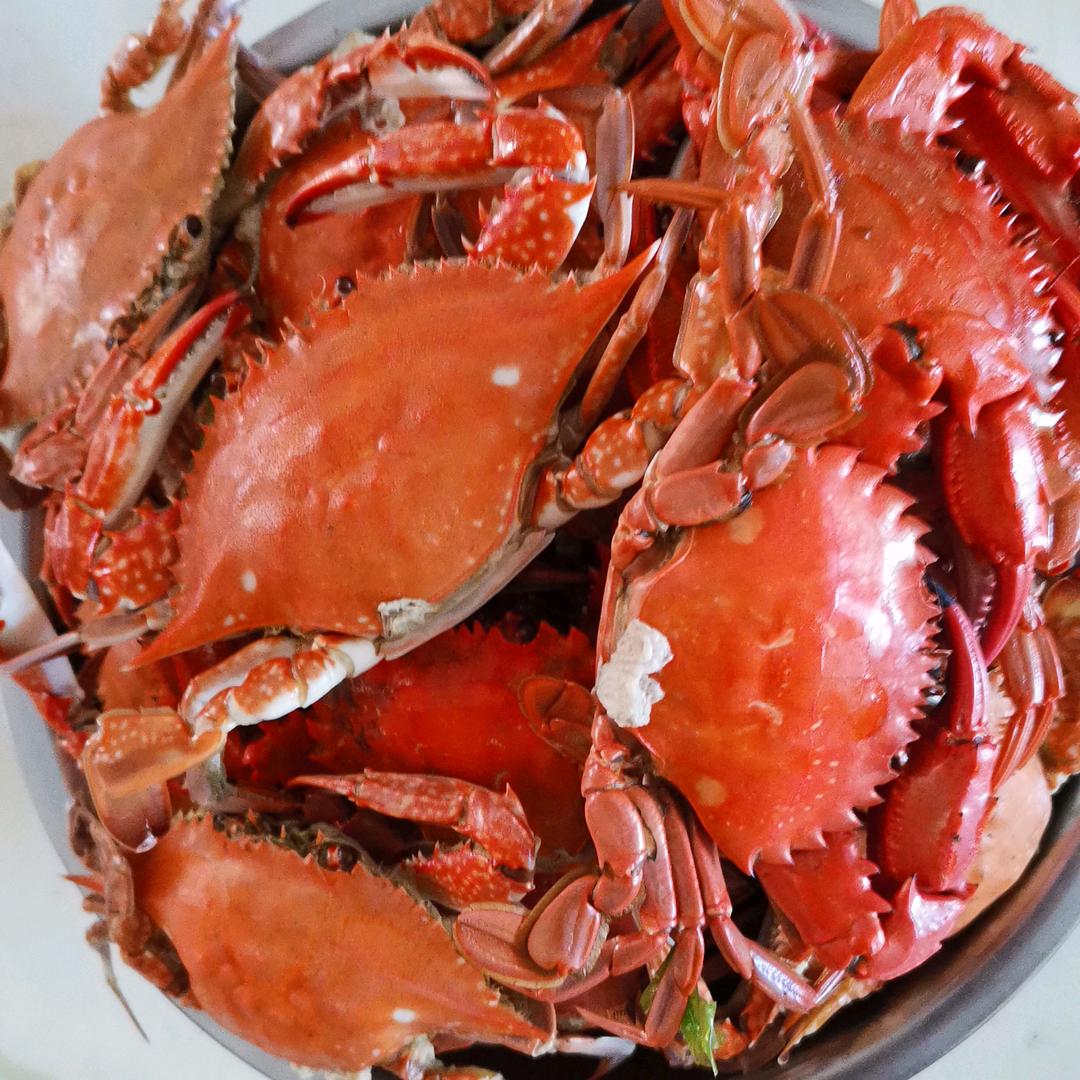 君哥赶海🦀