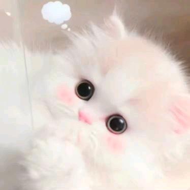 （静）在不言中