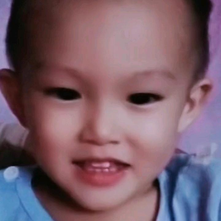 不再打扰
