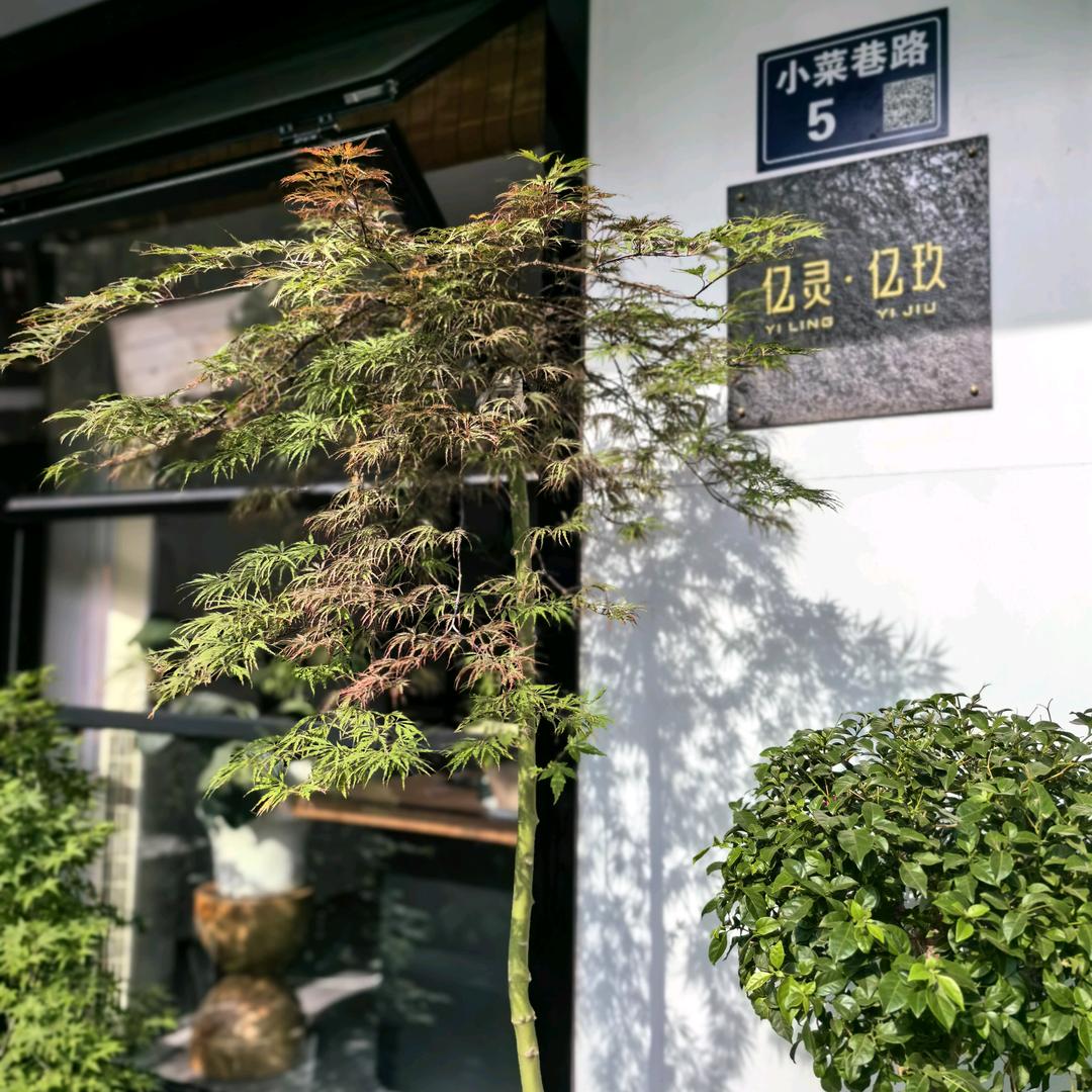 .壹玖