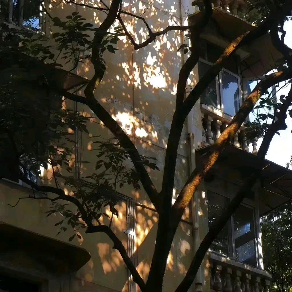 恣意喜怨