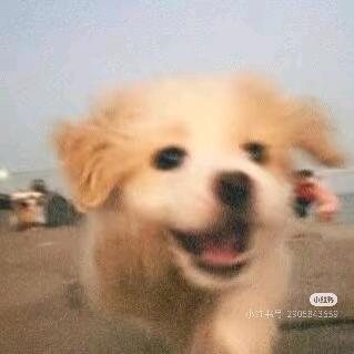 Smiling