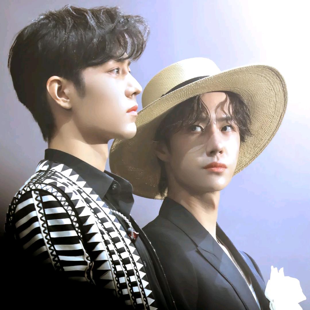 🐷🐰一窝