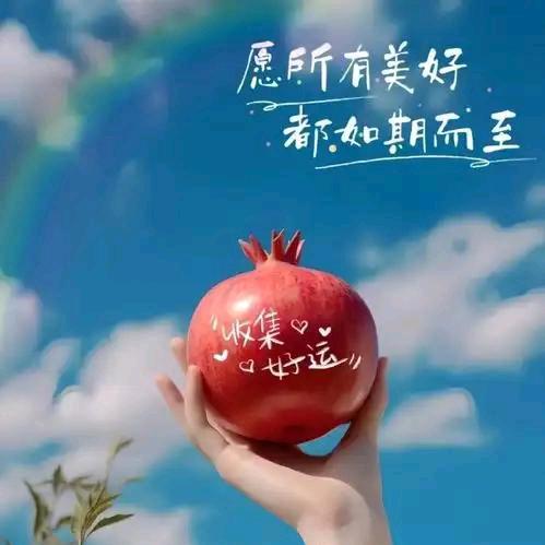 小鱼儿