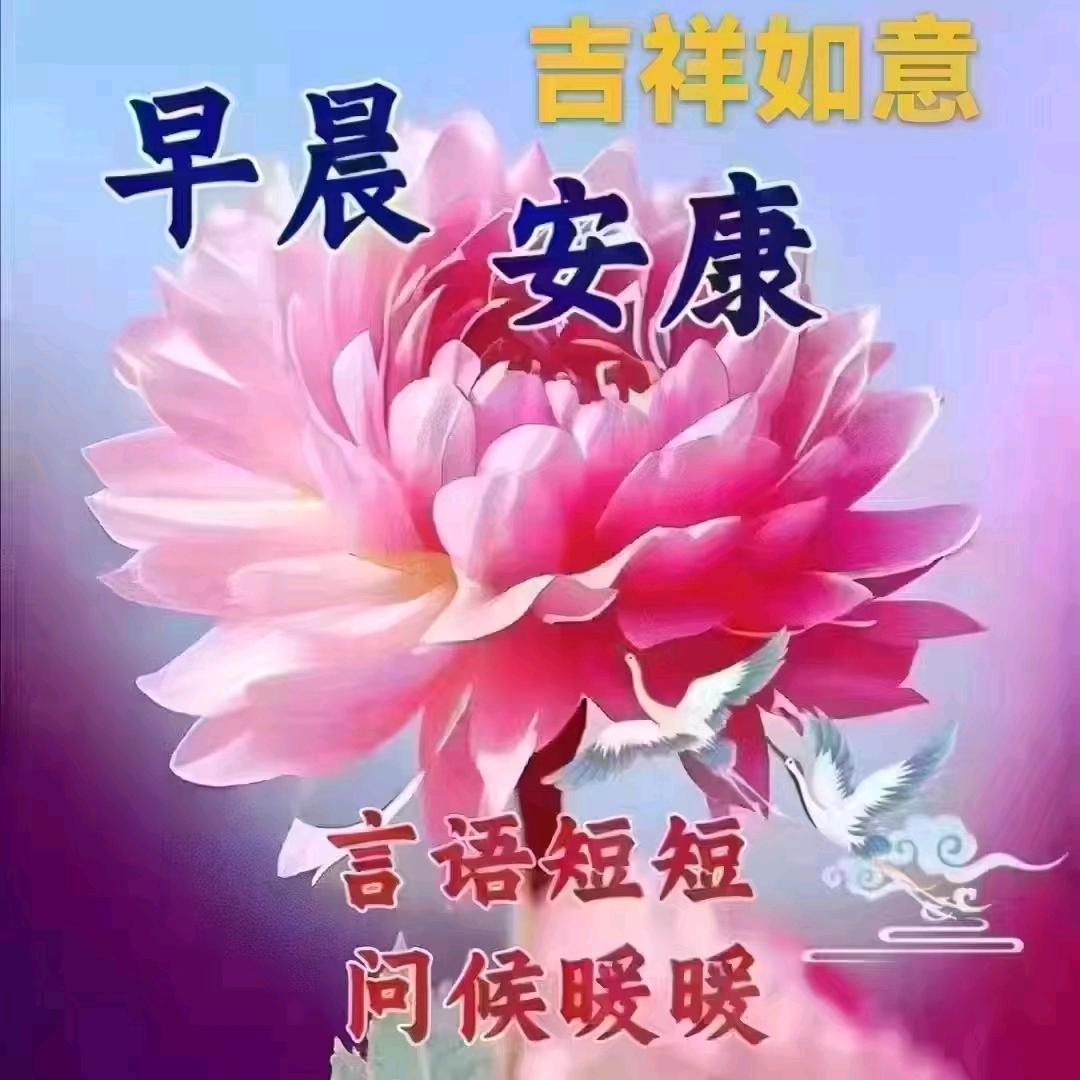 你！我！他！