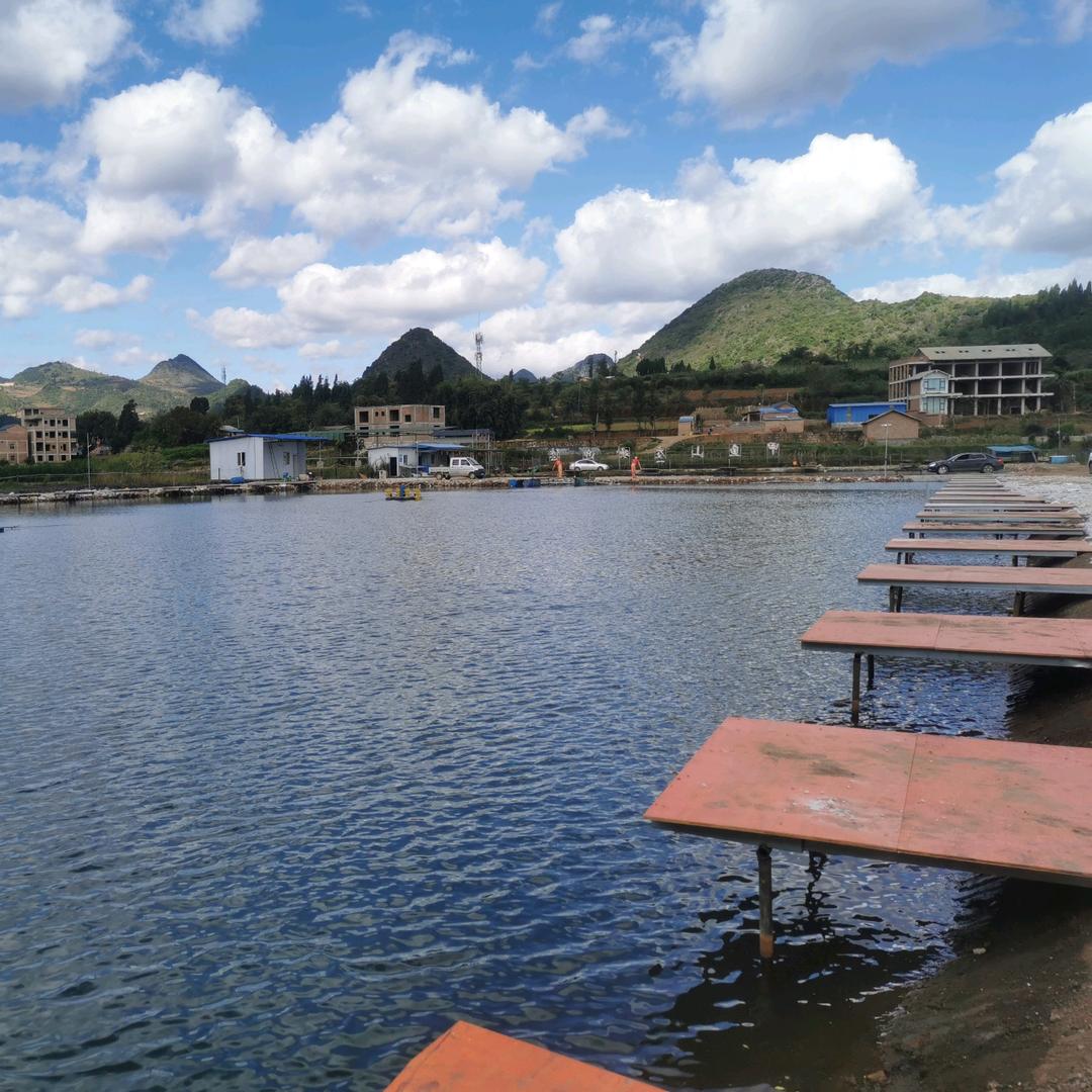 丘北甲鱼山庄青鱼大物钓场